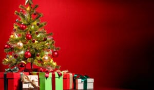 Nuestra querida navidad