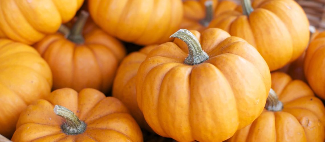 hojaldre de calabaza